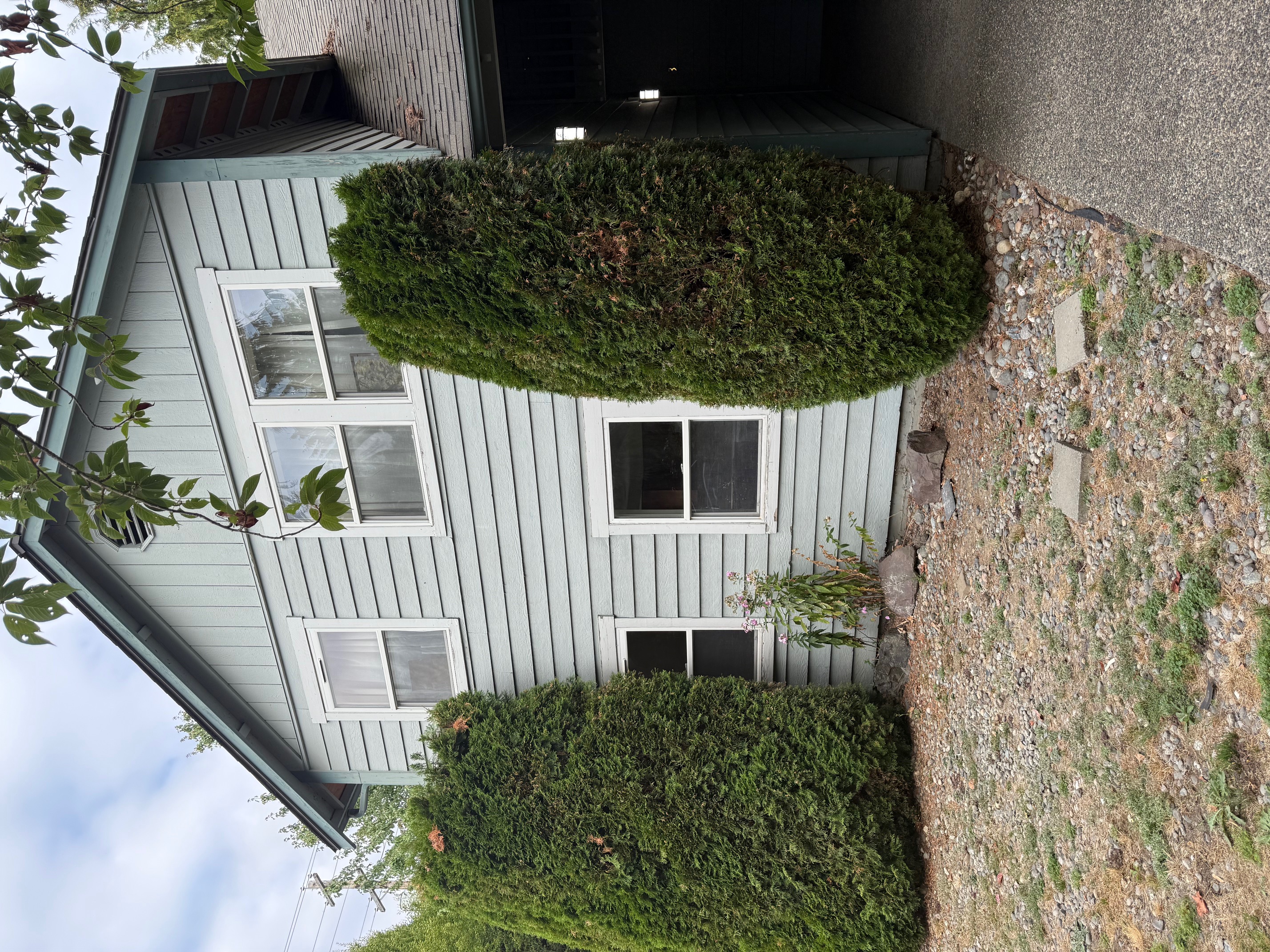 517 Pine Avenue #3